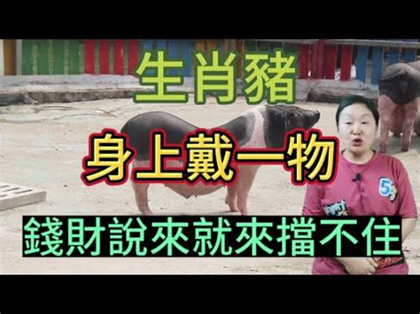 屬豬佩戴飾物|屬豬適合佩戴的飾品及其意義解析